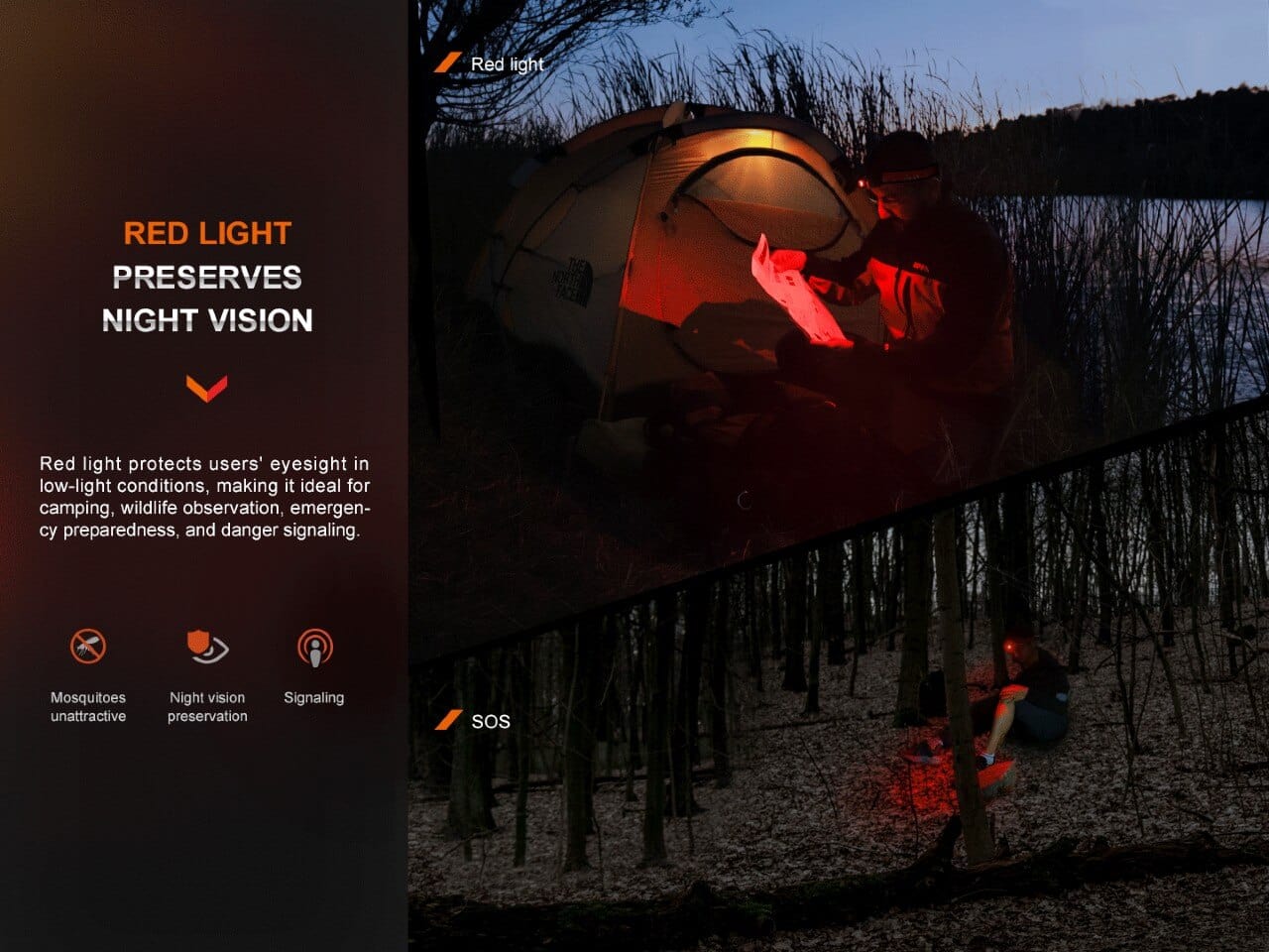 Fenix HL16 Lightweight Outdoor Hiking LED Headlamp--Safety Glasses USA-13